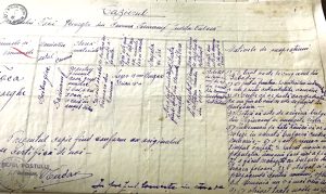 CAZIERUL PRIMARULUI FOCA